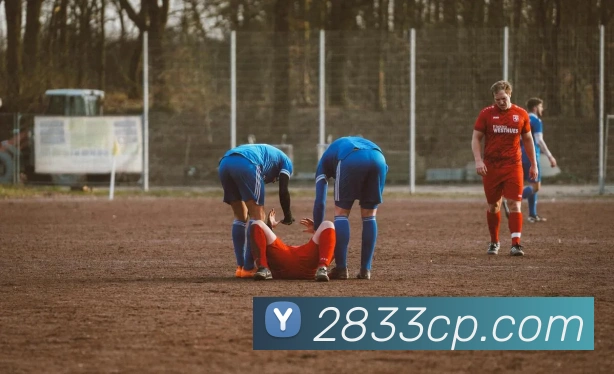 多终端兼容